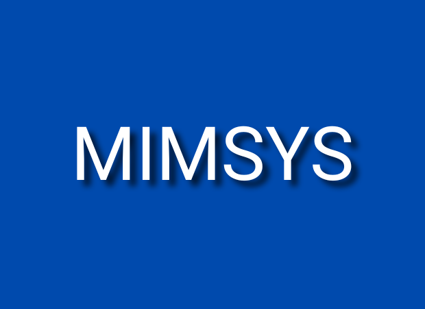 MIMSYS TECHNOLOGY SOFTWARE DEVELOPER