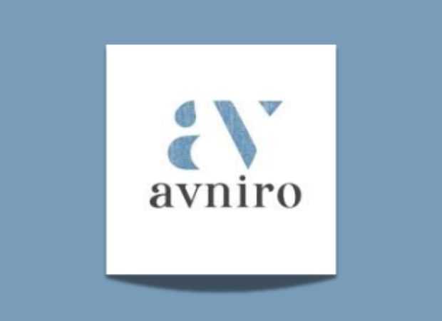 avniro group software development intern