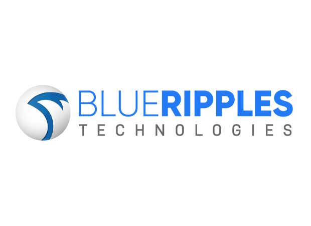 blue ripple technologies software developer intern