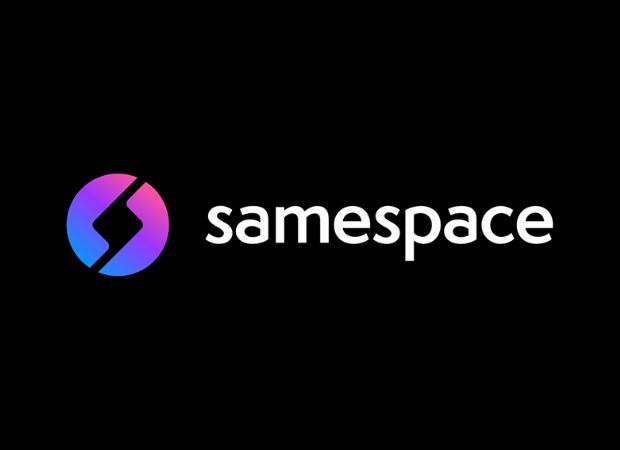 samespace software quality analyst
